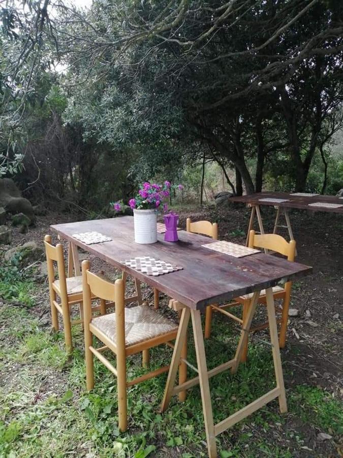 Hostal Eucaliptus Farm Retreat Santa Teresa Gallura Exterior foto