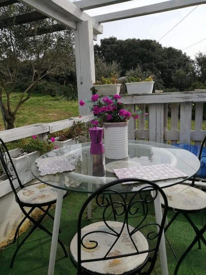 Hostal Eucaliptus Farm Retreat Santa Teresa Gallura Exterior foto