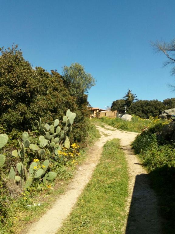 Hostal Eucaliptus Farm Retreat Santa Teresa Gallura Exterior foto