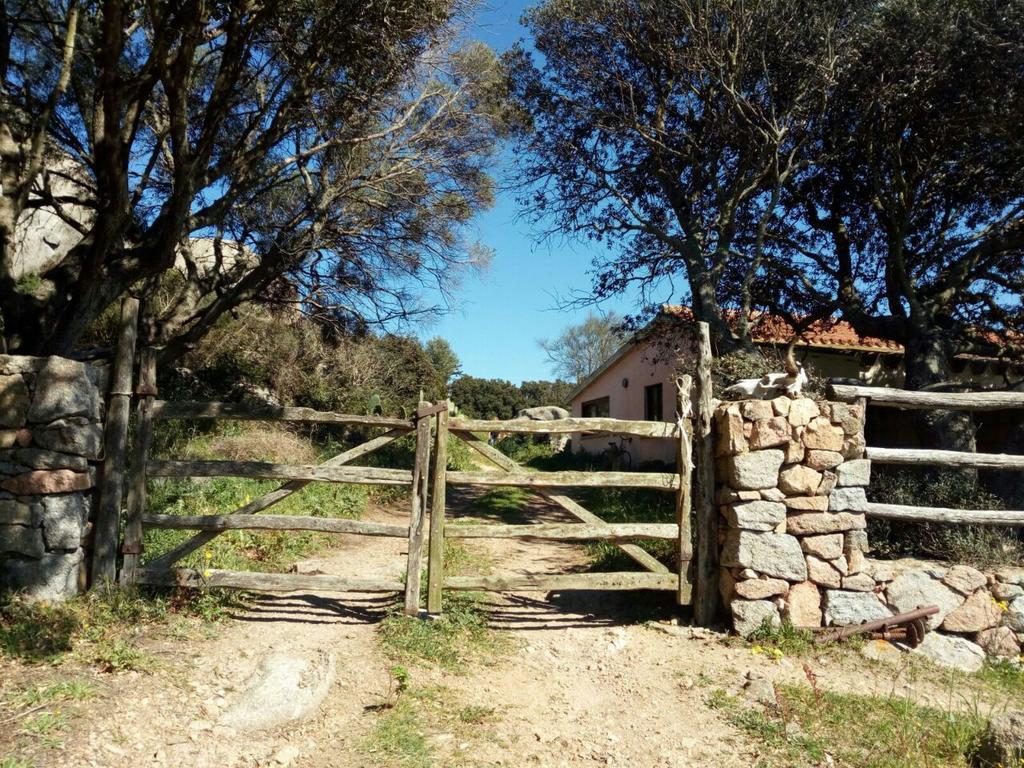 Hostal Eucaliptus Farm Retreat Santa Teresa Gallura Exterior foto