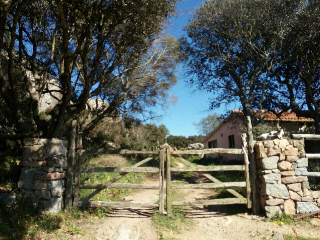 Hostal Eucaliptus Farm Retreat Santa Teresa Gallura Exterior foto