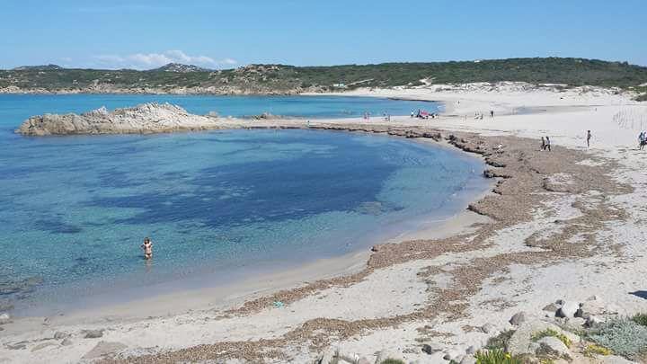 Hostal Eucaliptus Farm Retreat Santa Teresa Gallura Exterior foto