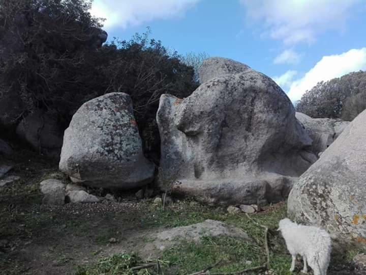 Hostal Eucaliptus Farm Retreat Santa Teresa Gallura Exterior foto