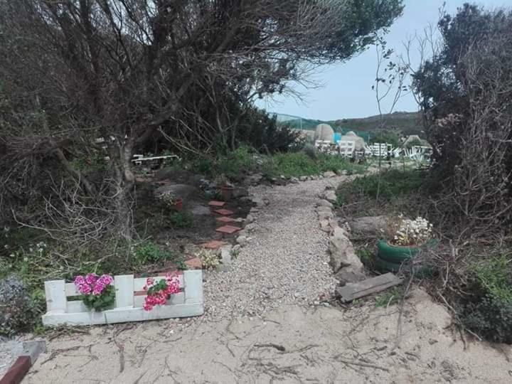 Hostal Eucaliptus Farm Retreat Santa Teresa Gallura Exterior foto